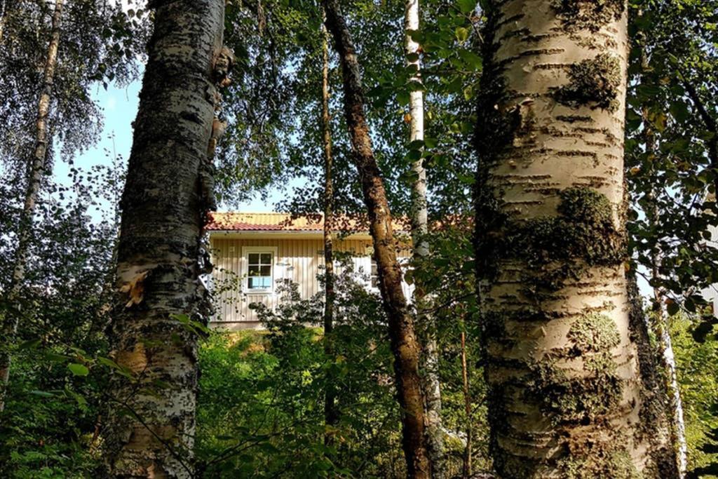 Nybyggd Stuga Intill Skogsbrynet - New Built Cottage Next To The Cowberry Forest Mora Extérieur photo